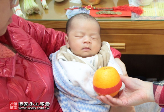 剃胎毛、滿月剃頭、嬰兒剃頭、嬰兒理髮、嬰兒剃髮、嬰兒剃胎毛、嬰兒滿月剃頭、寶寶剃頭、剃胎毛儀式、剃胎毛吉祥話、滿月剃頭儀式、滿月剃頭吉祥話、寶寶剃胎毛、寶寶滿月剃頭理髮、 台北萬華區剃胎毛、台北萬華區滿月剃頭、 台北萬華區嬰兒剃頭剃胎毛、台北萬華區嬰兒理髮、台北萬華區嬰兒剃髮、林寶寶(台北萬華區到府嬰兒寶寶滿月剃頭理髮、免費到府嬰兒剃胎毛儀式吉祥話)。到府剃頭剃胎毛主持、專業拍照、DVD光碟、證書。★購買「臍帶章、肚臍章、胎毛筆刷印章」贈送：剃頭、收涎、抓周，三選一。2016.01.30 照片9